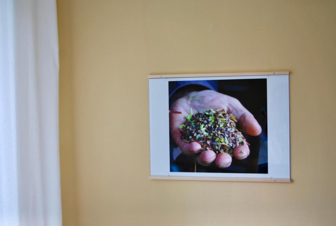 Hemmet Simrishamns Vandrarhem Och B&B Esterno foto