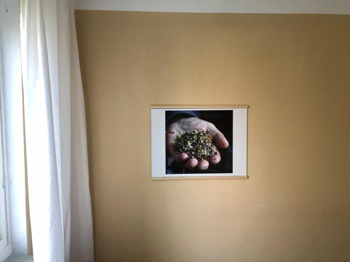 Hemmet Simrishamns Vandrarhem Och B&B Esterno foto