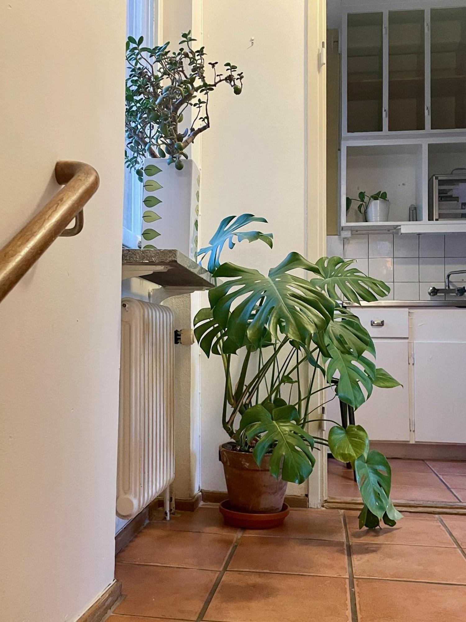 Hemmet Simrishamns Vandrarhem Och B&B Esterno foto
